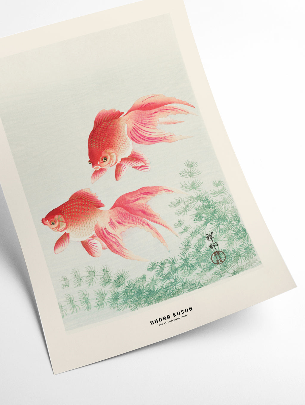 Ohara Koson - Two veil goldfish