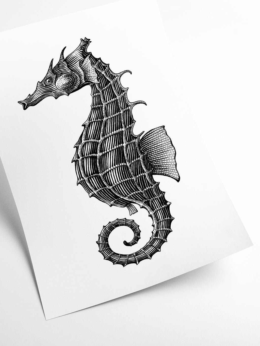Seahorse