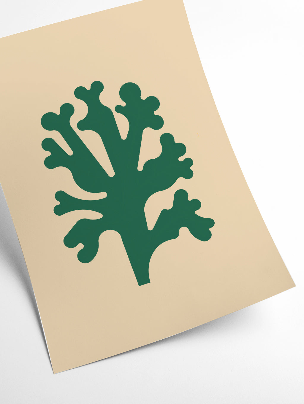 Cutout seaweed