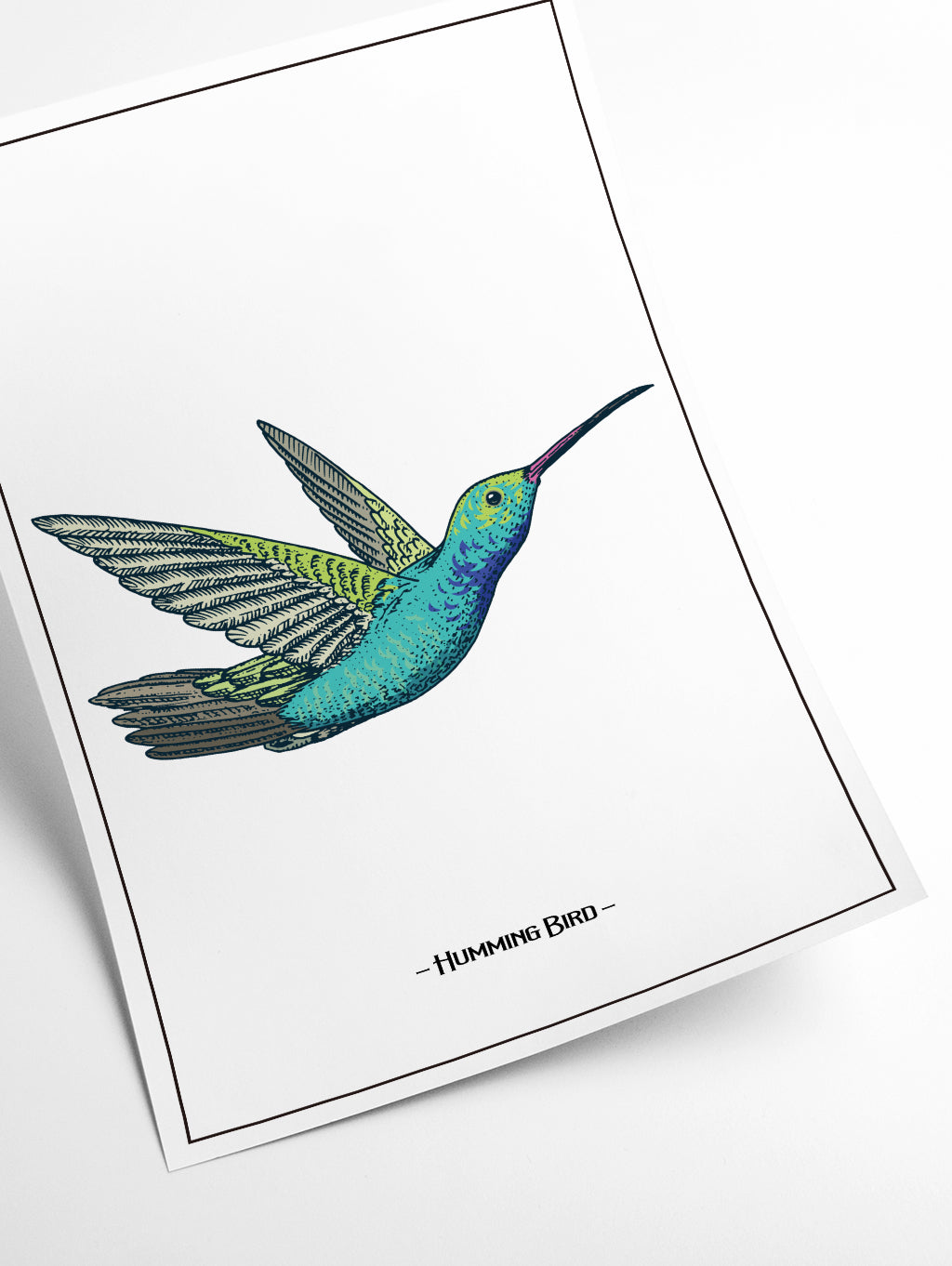 humming bird