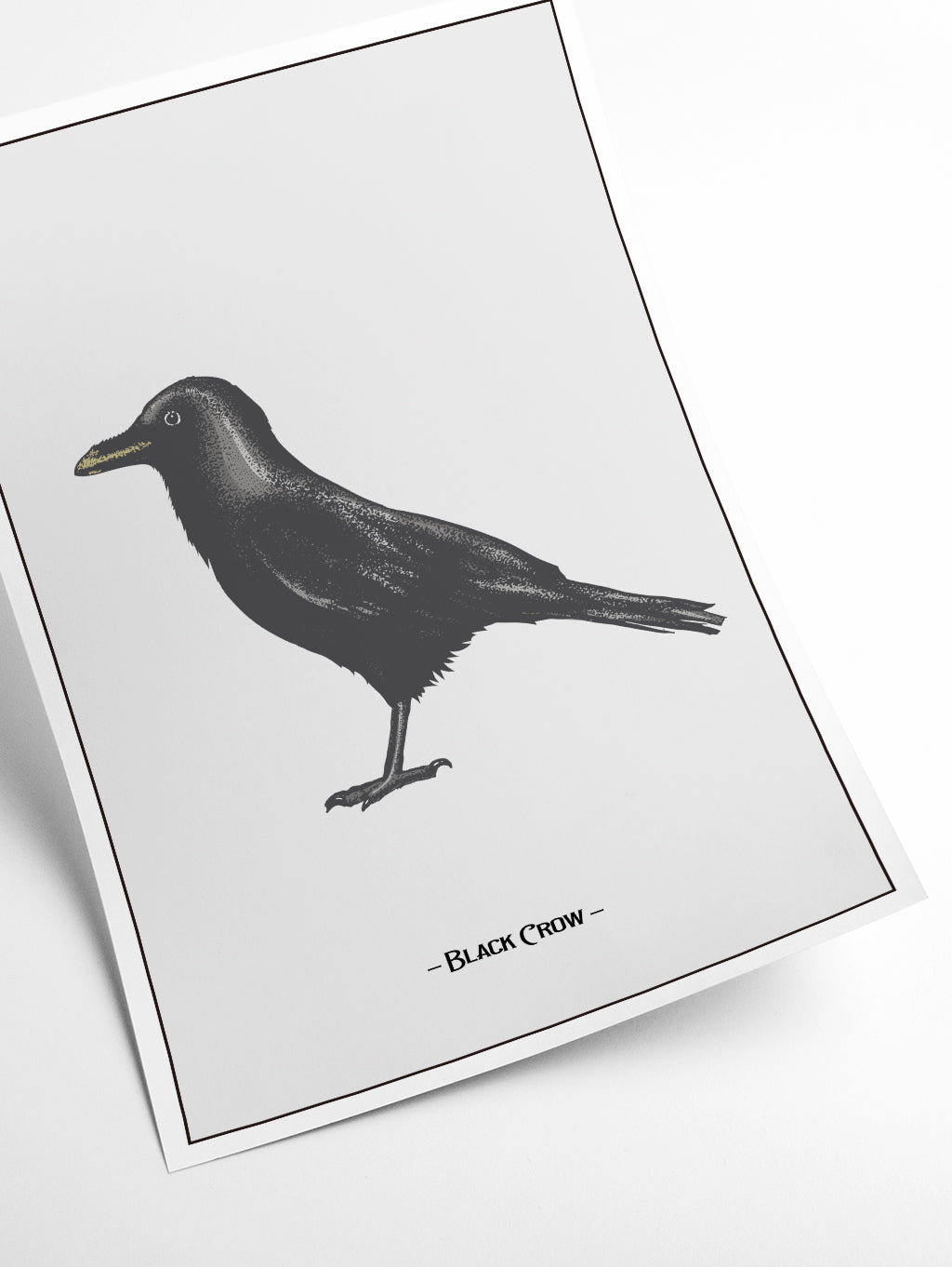 The Black Crow