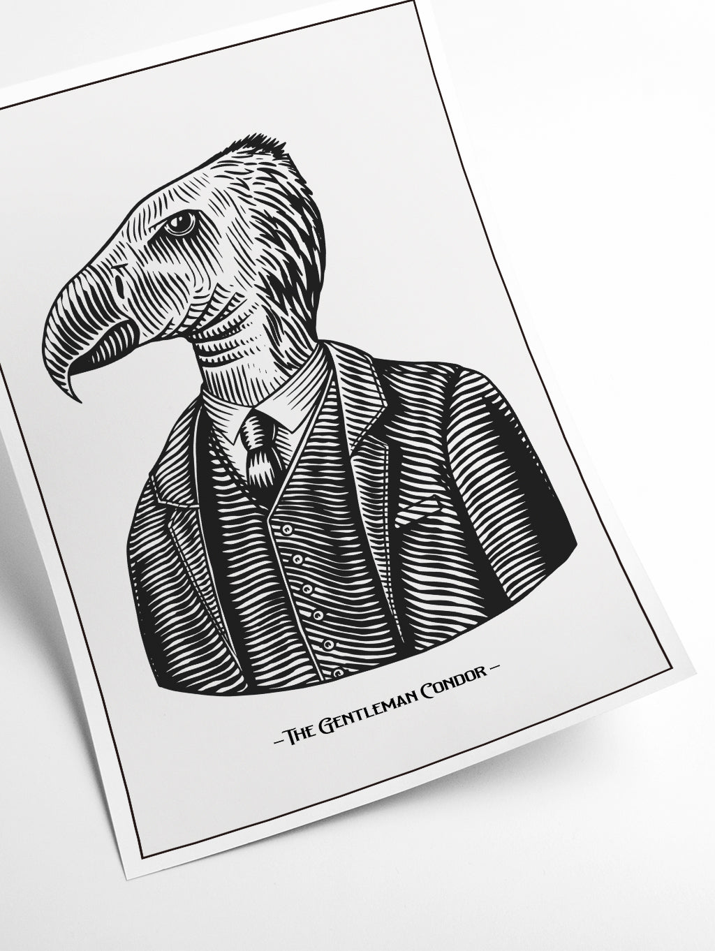 The Gentleman Condor