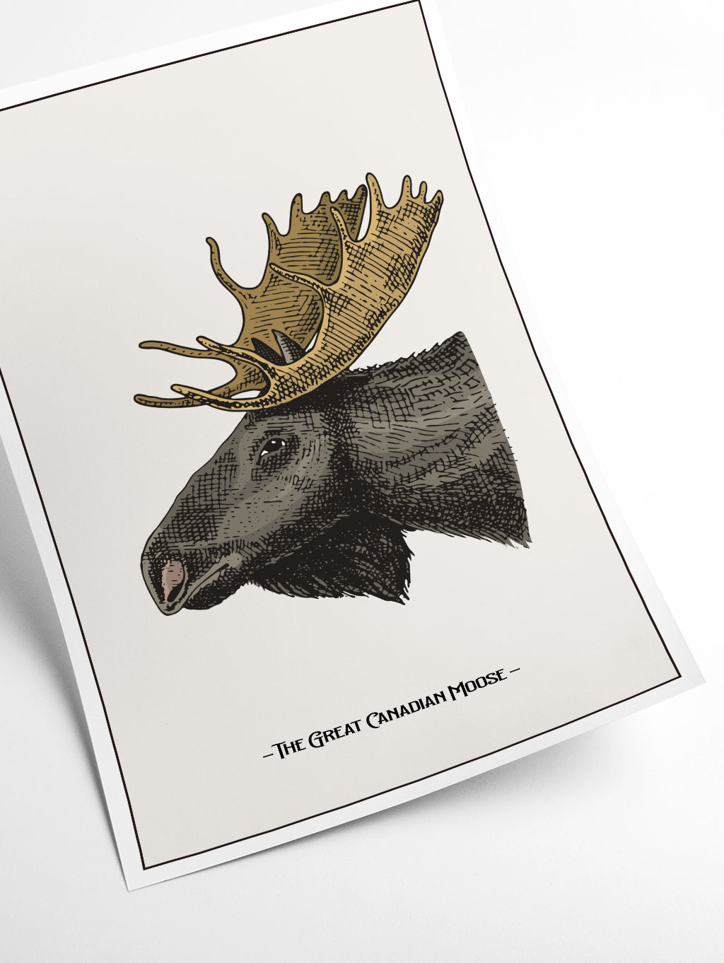 The great Canadian Moose