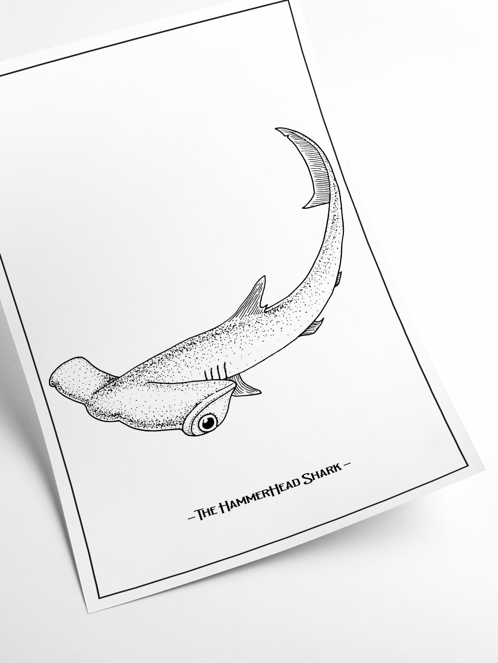 The hammerhead Shark