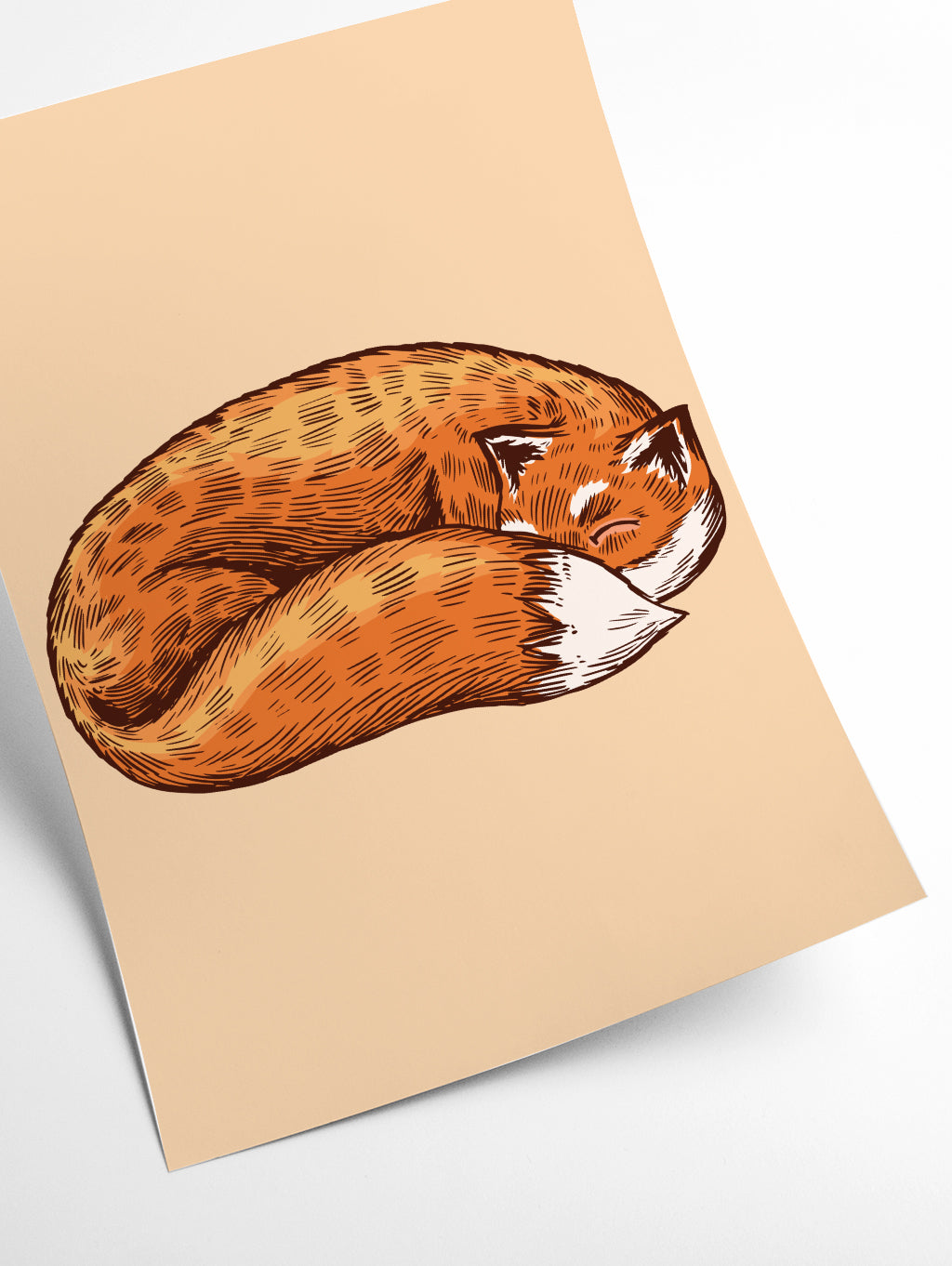 The sleeping fox