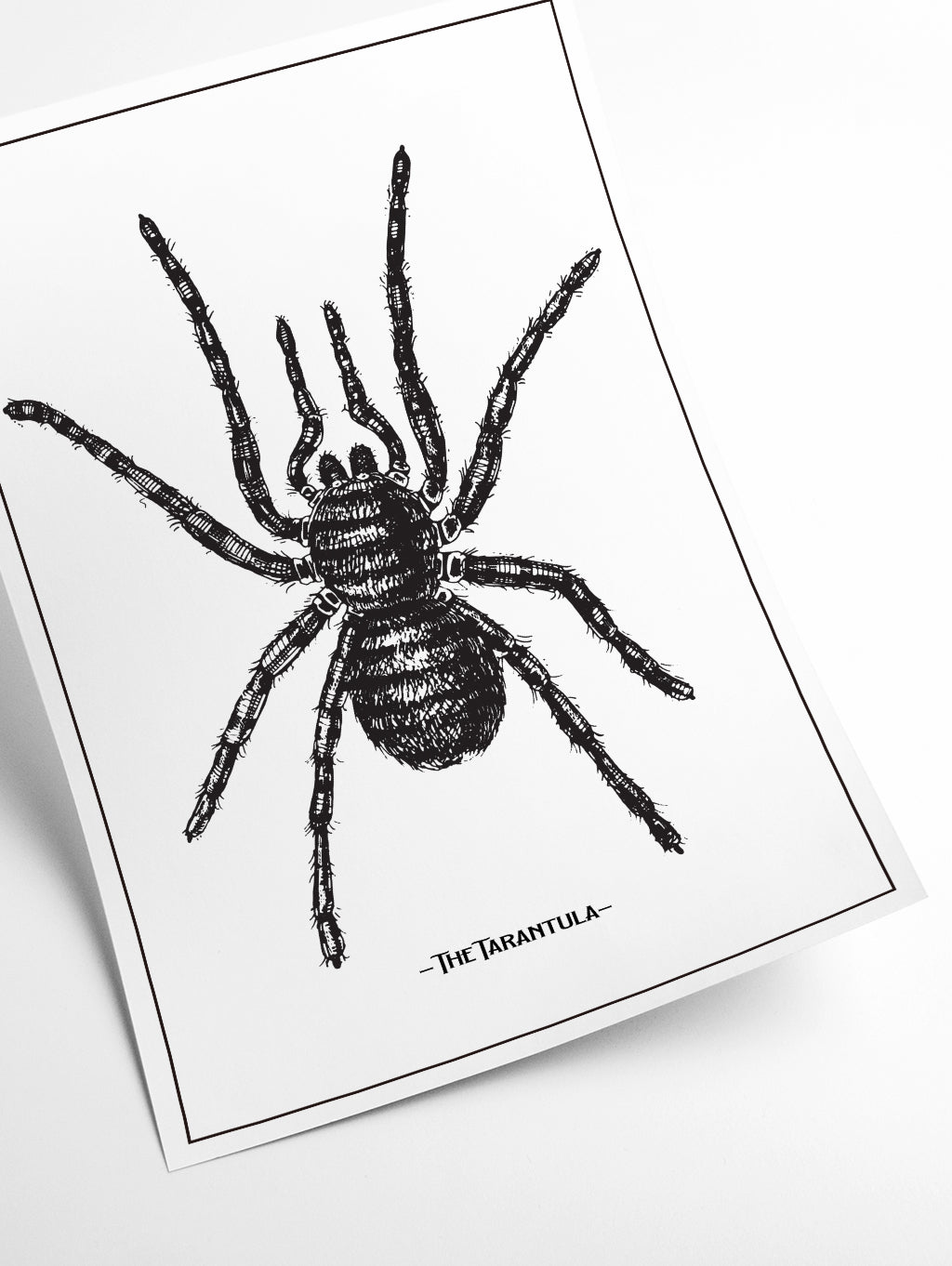 The Tarantula