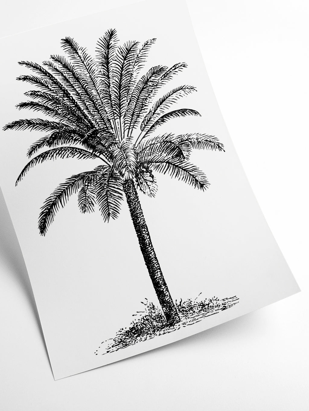Vintage Palm Tree