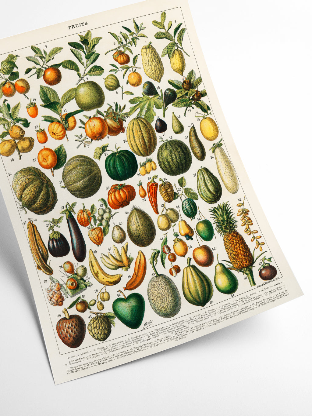 Fruits and Vegetables