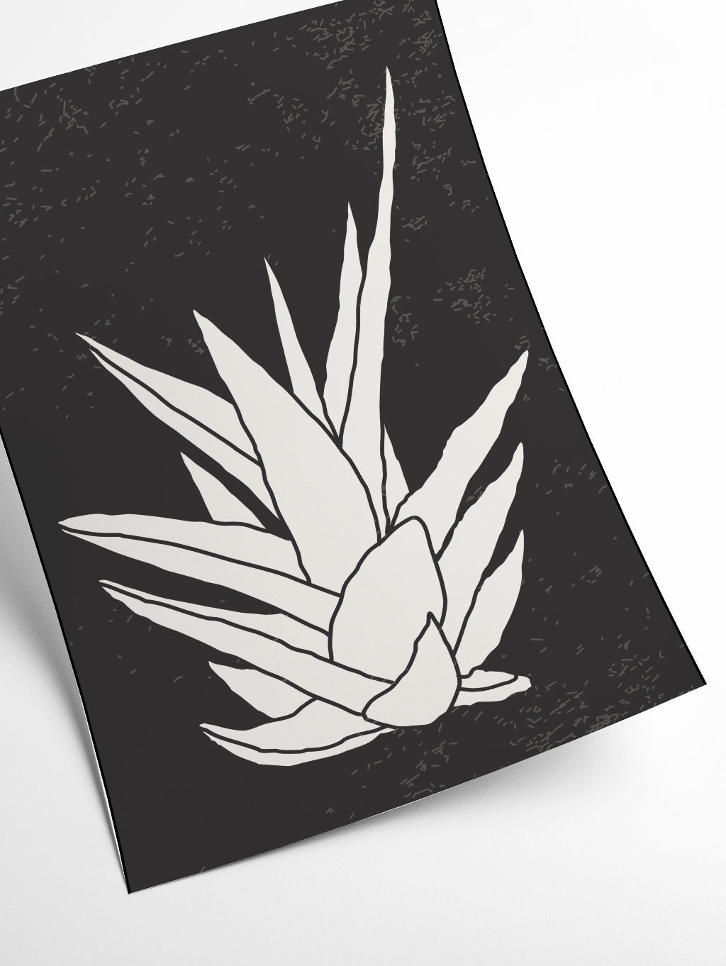 Agave #1