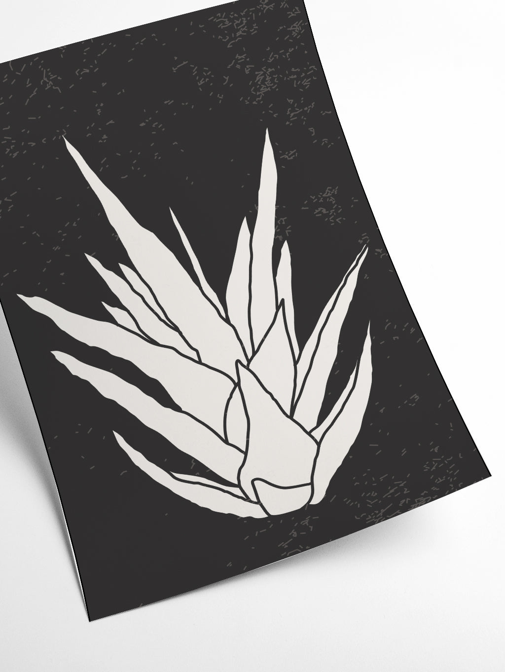 Agave #3
