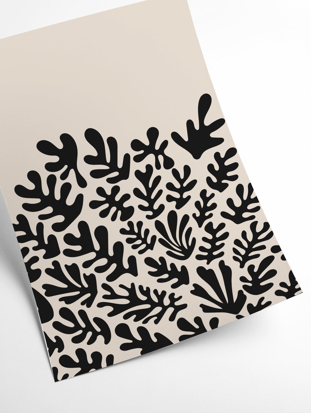 Henri Matisse Black Algae Collection #2