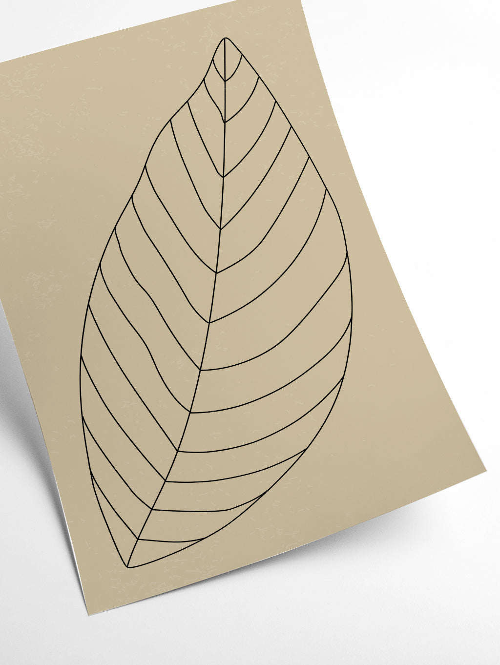 Minimal Leaves #3