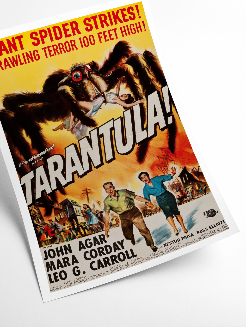 Tarantula!