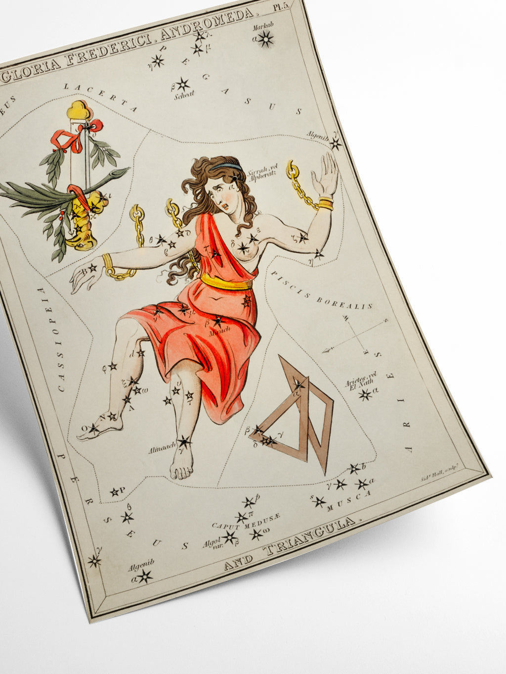 Astronomical chart illustration of Gloria Frederici, Andromeda