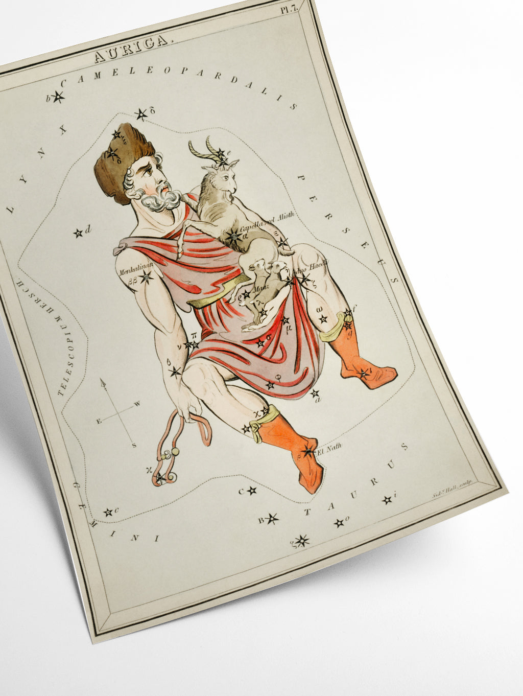 Astronomical chart illustration of the Auriga