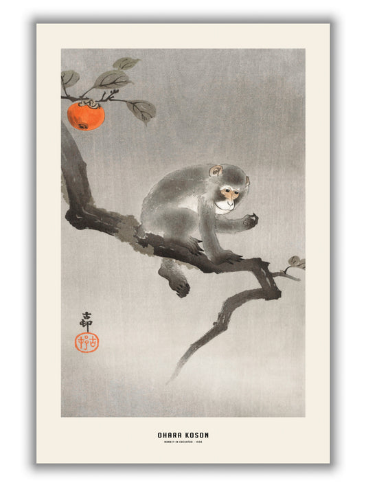 Ohara Koson - Monkey in cockatoo