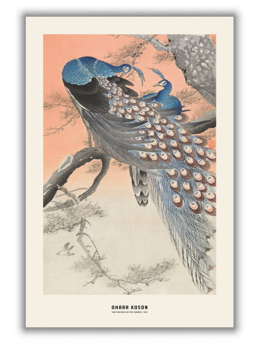 Ohara Koson - Two peacocks on tree branch