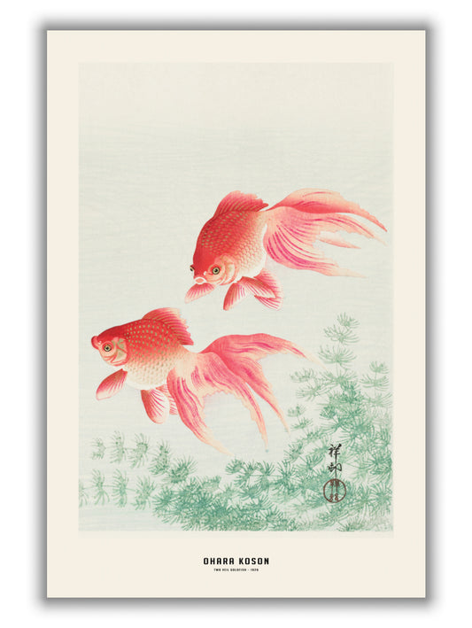 Ohara Koson - Two veil goldfish