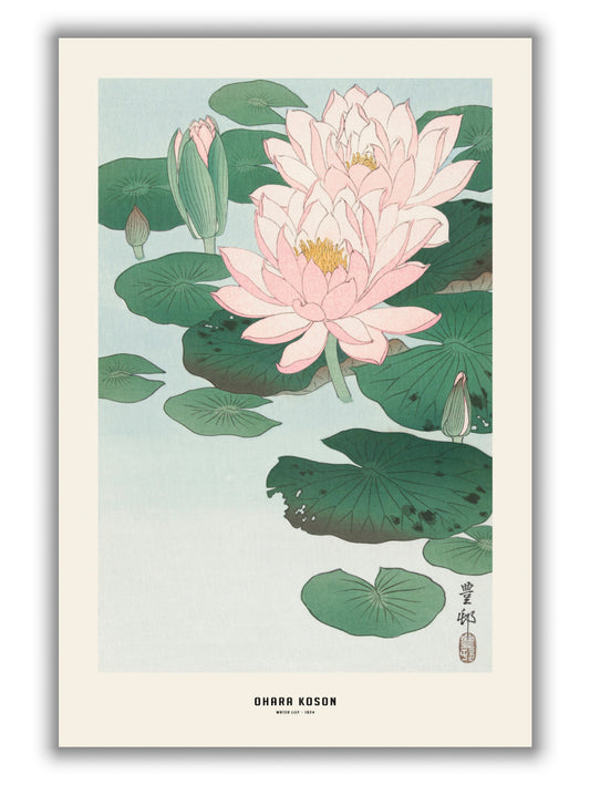 Ohara Koson - Water lily