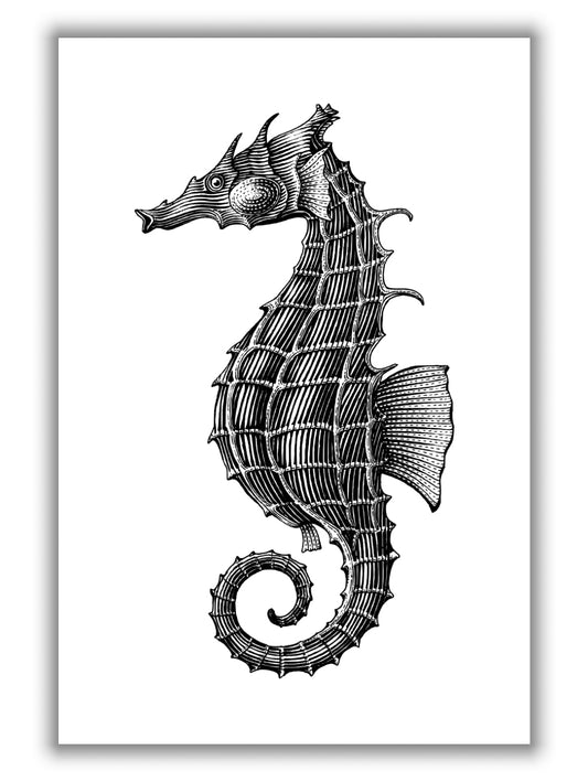 Seahorse
