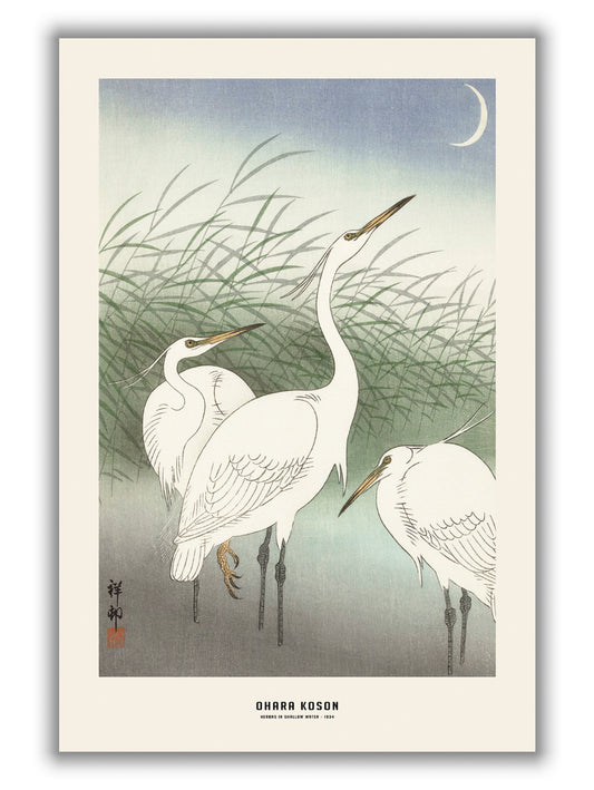 Ohara Koson - Herons in shallow water