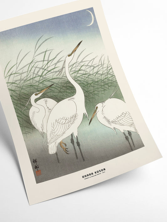 Ohara Koson - Herons in shallow water