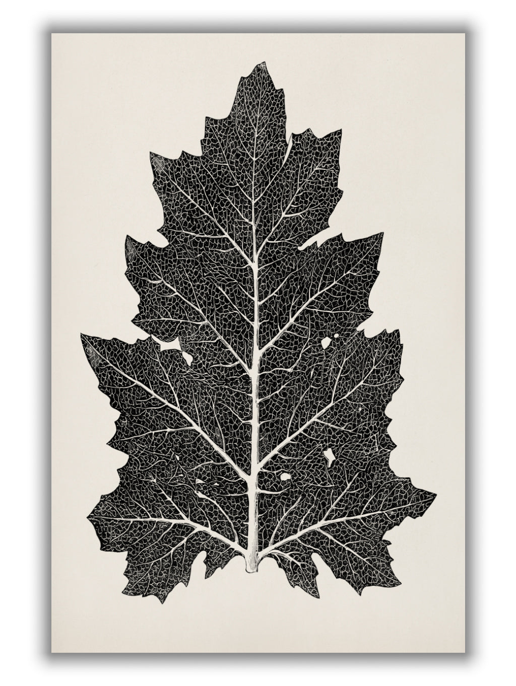 Vintage Leaf