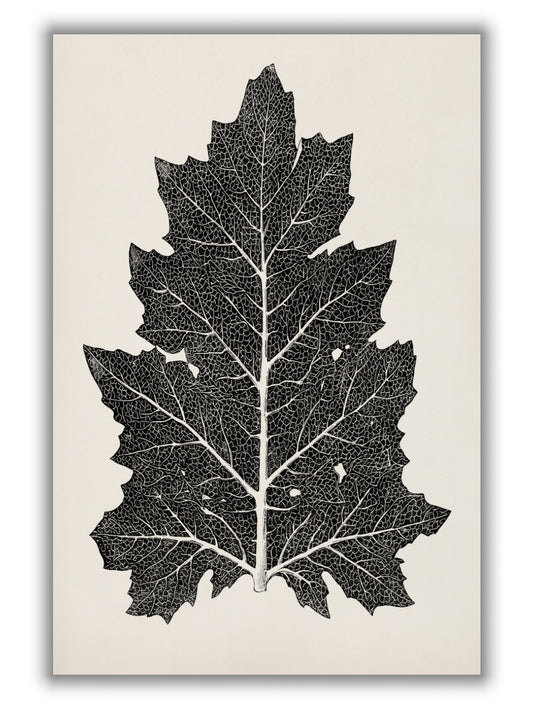Vintage Leaf