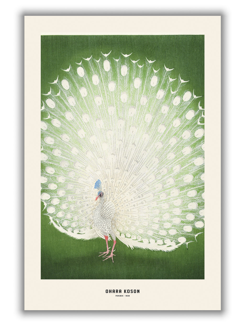Ohara Koson - Peacock