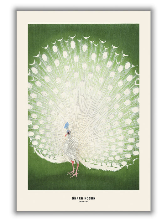Ohara Koson - Peacock