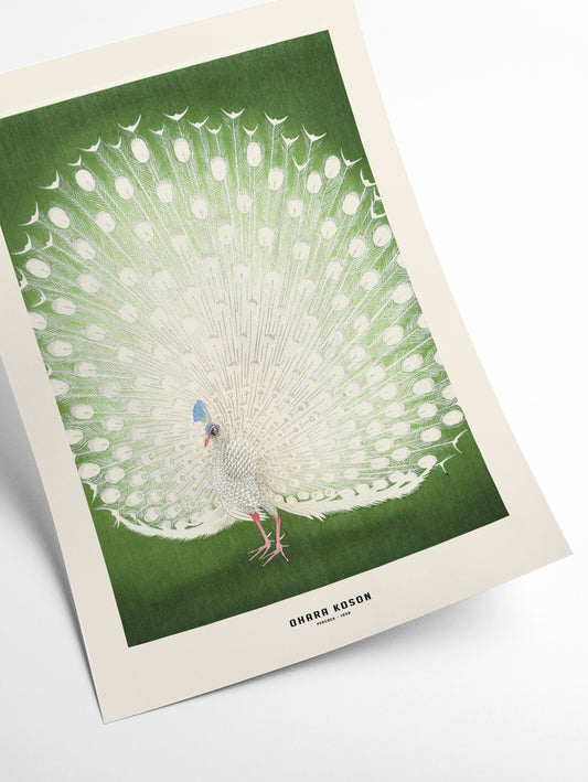 Ohara Koson - Peacock