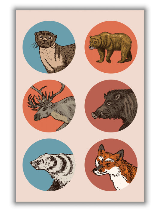 animal circles II