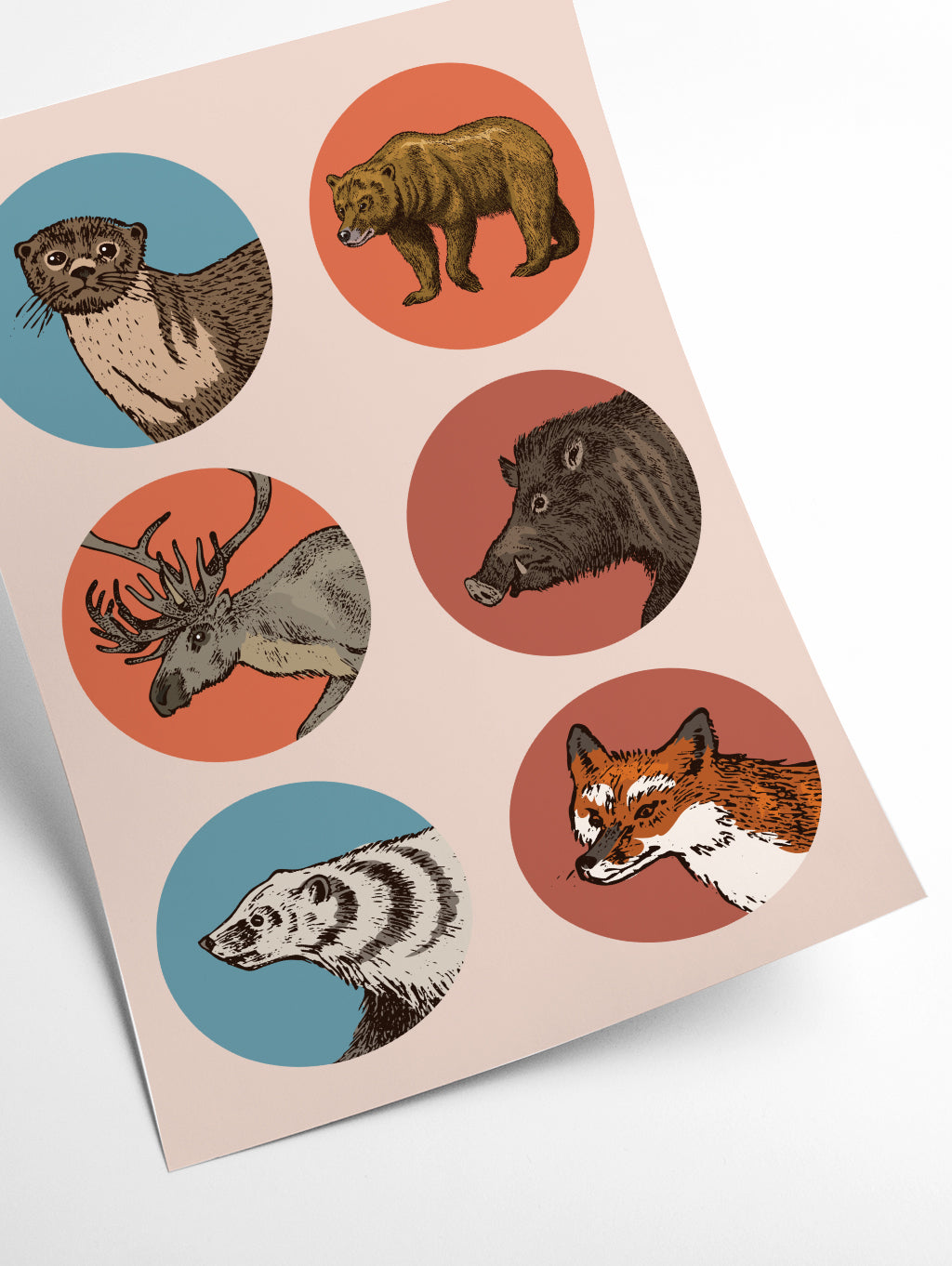 animal circles II