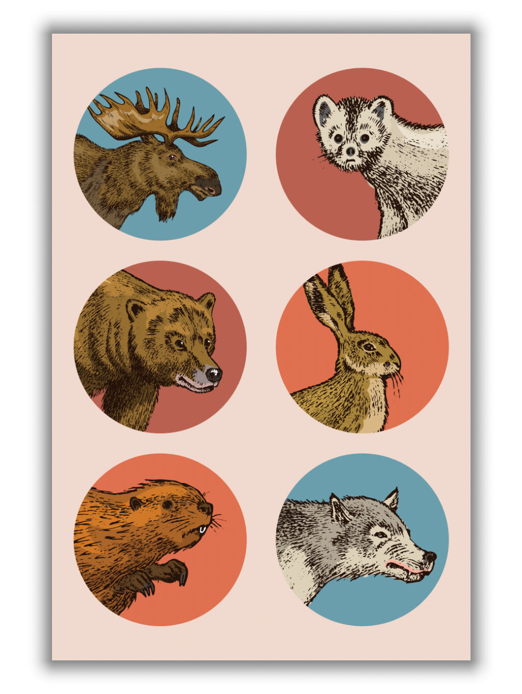animal circles