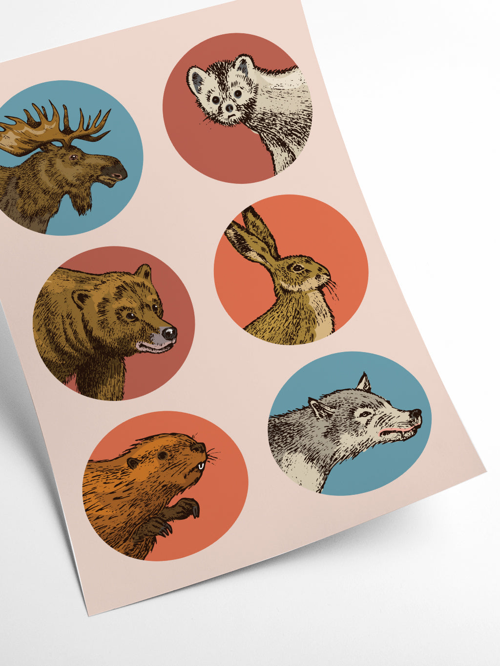 animal circles