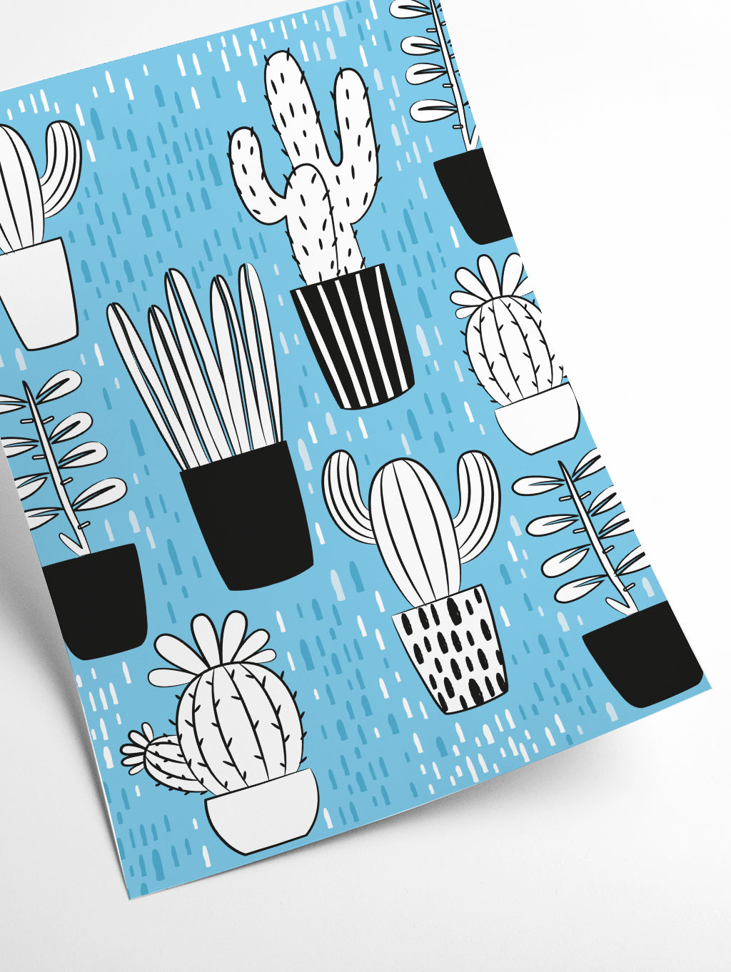 cactus vibes #1