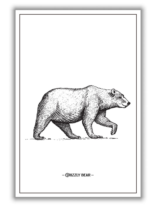 Grizzly Bear
