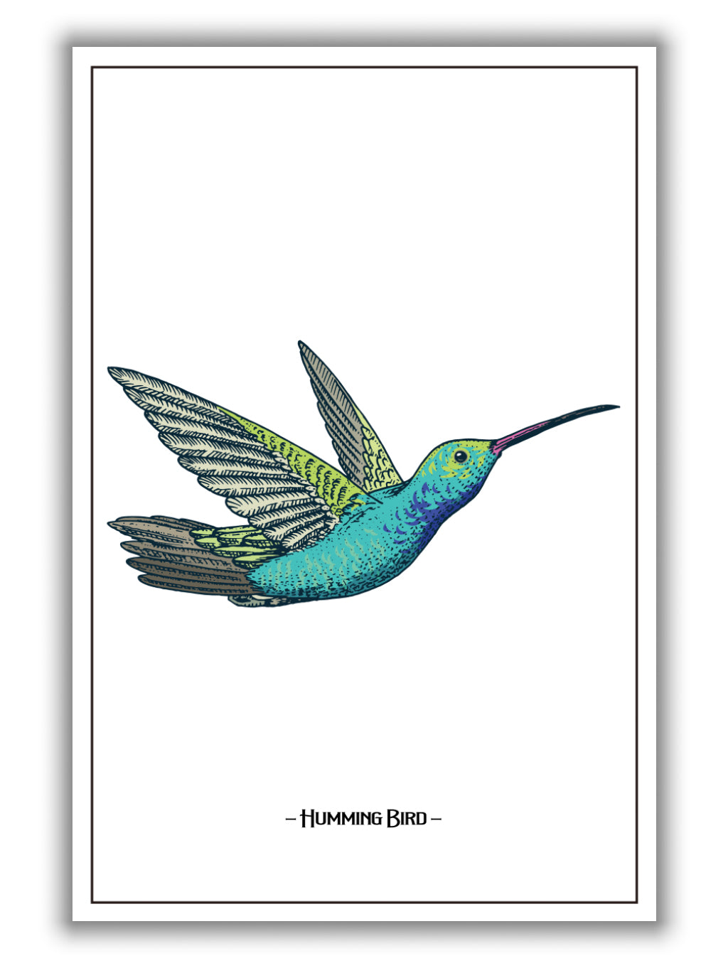 humming bird