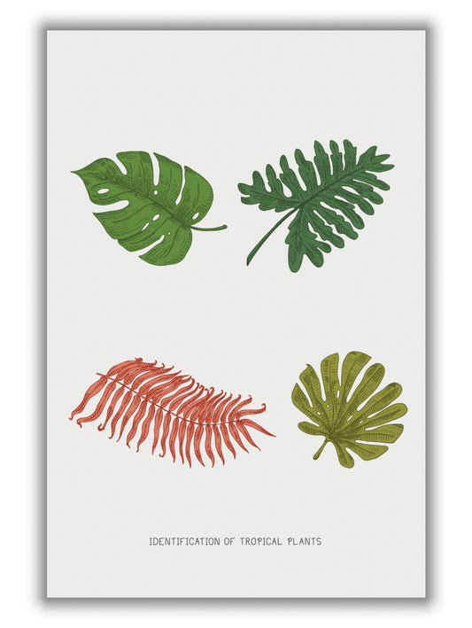 Identification of Tropical Plants