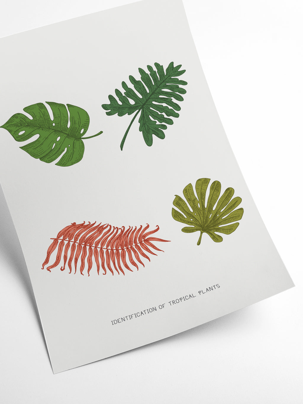 Identification of Tropical Plants