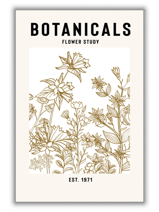 botanicals flower study II