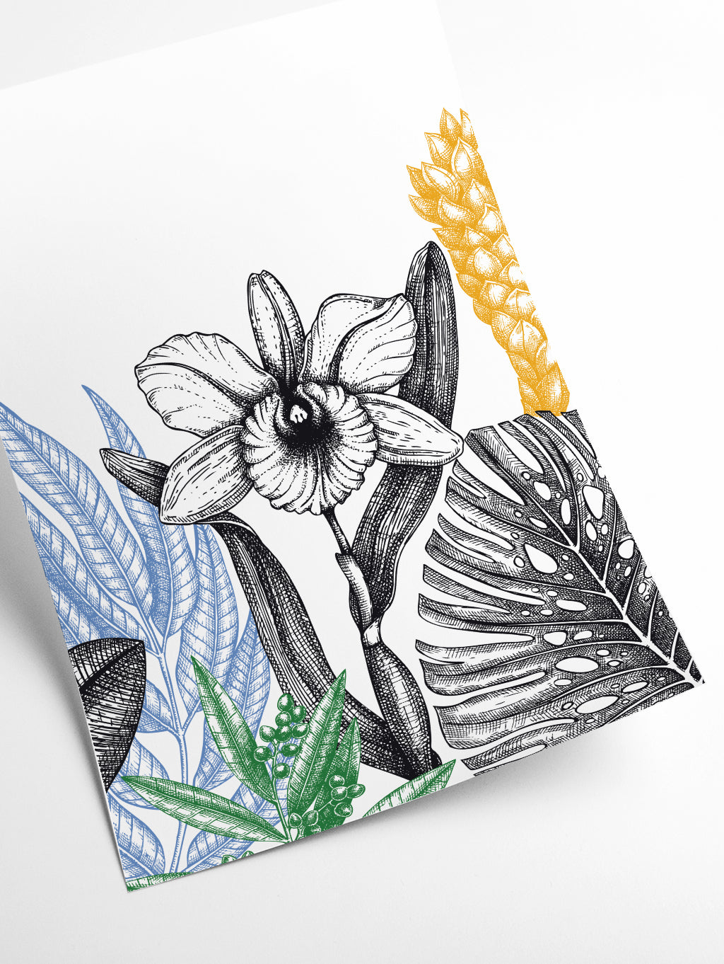 Minimalist flower vibes