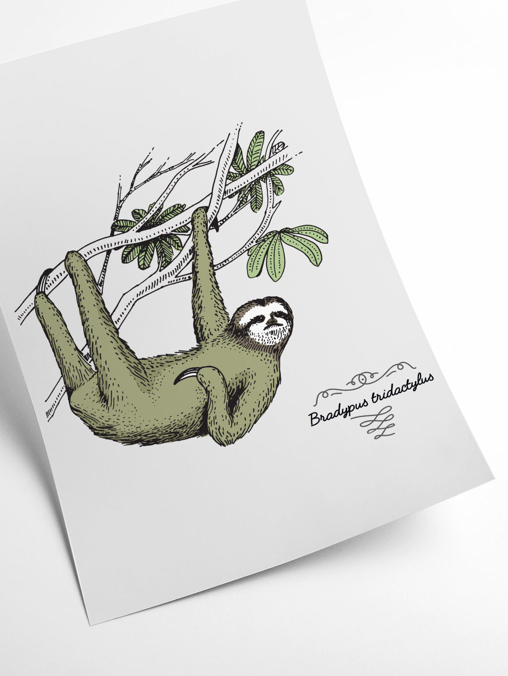 Sloth