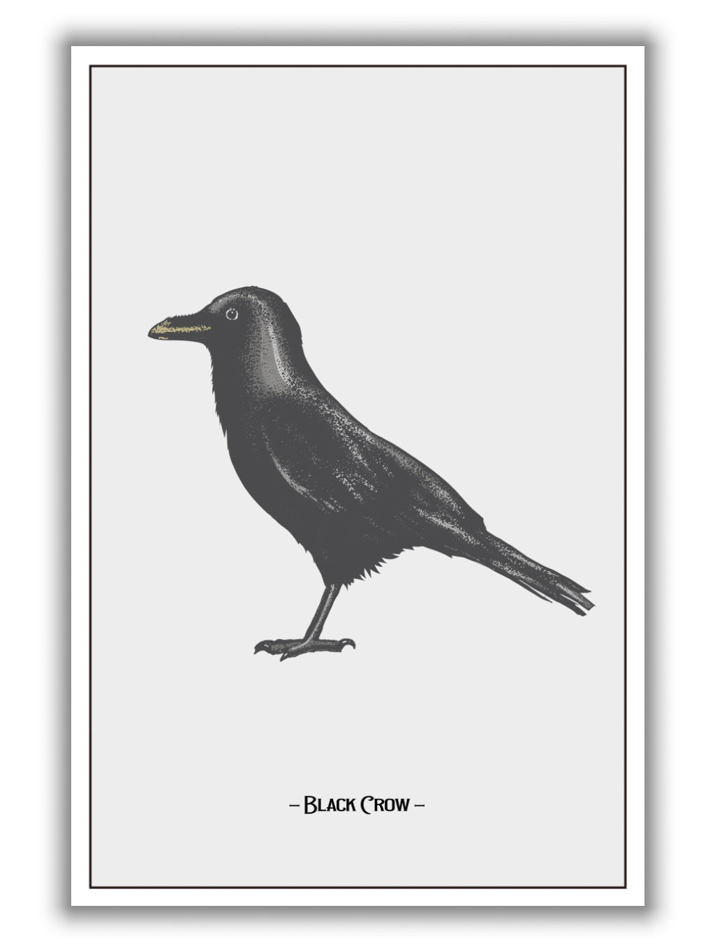 The Black Crow