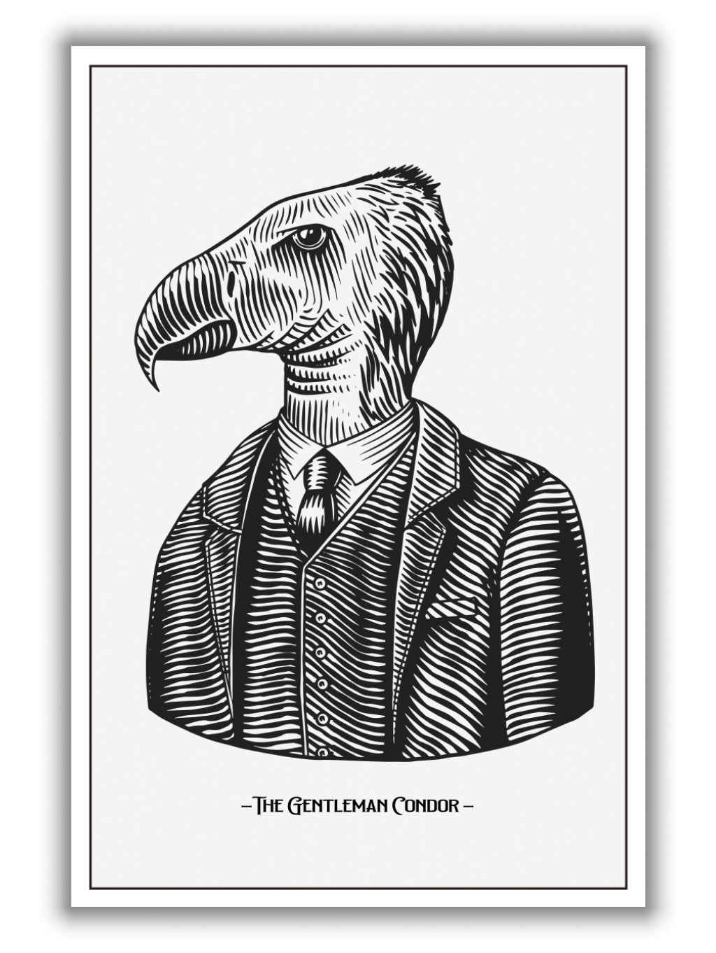 The Gentleman Condor