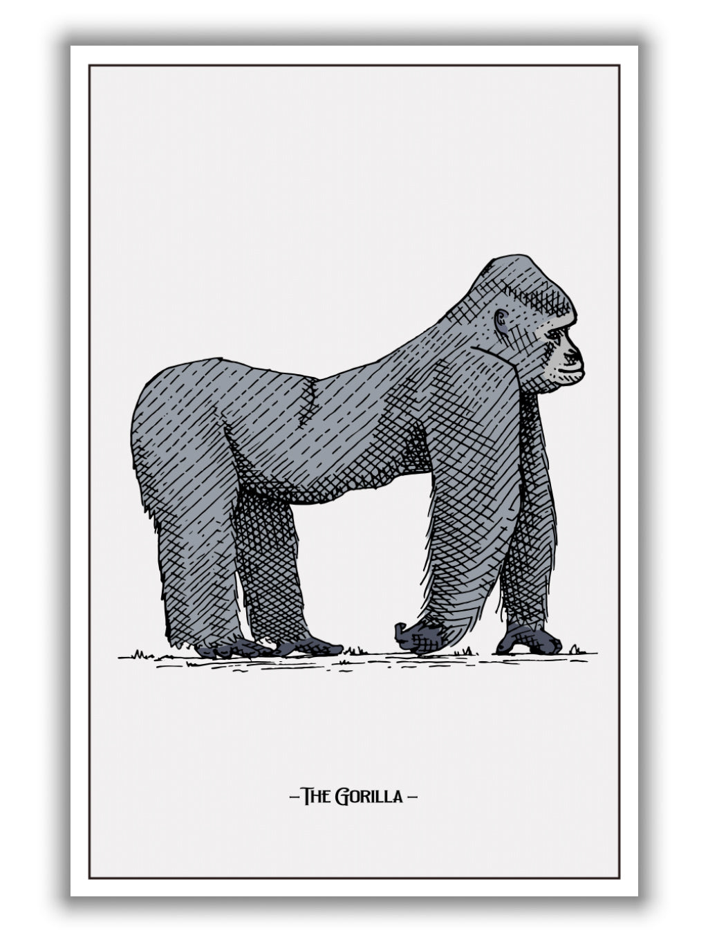 The Gorilla