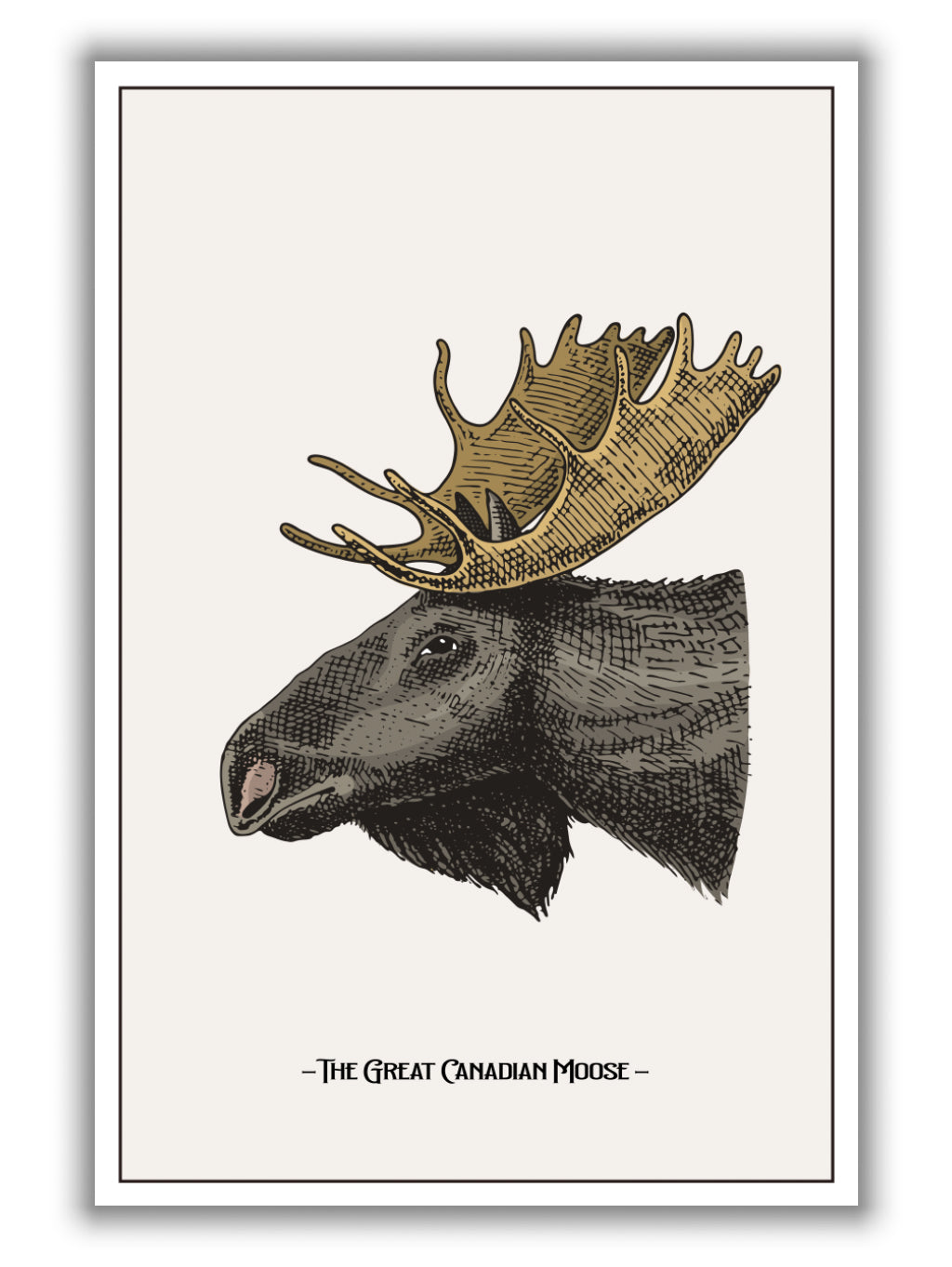 The great Canadian Moose