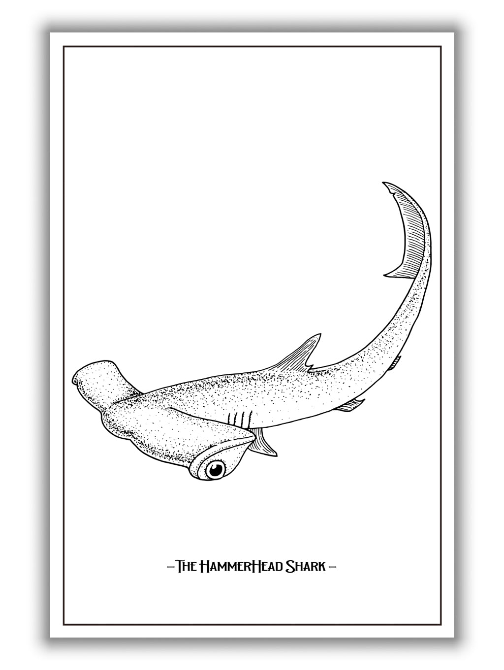 The hammerhead Shark
