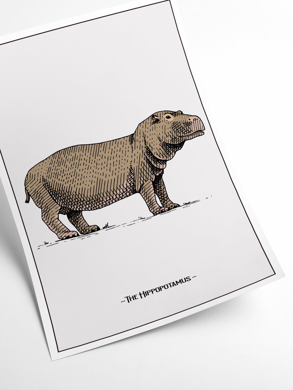 The hippopotamus