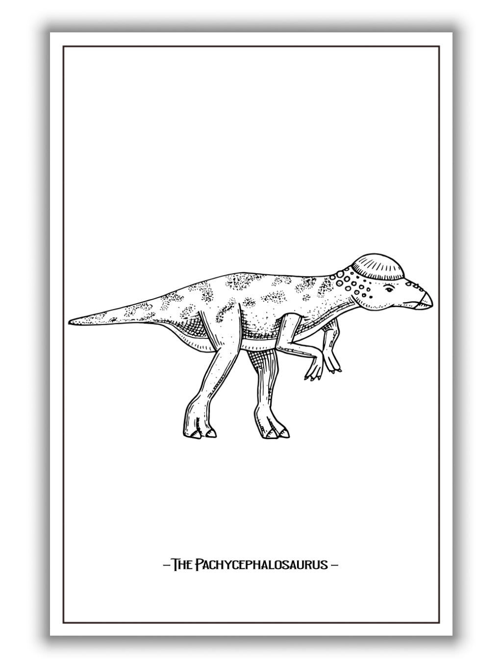The Pachycephalosaurus